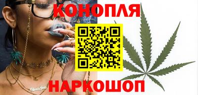 крисы Ливны